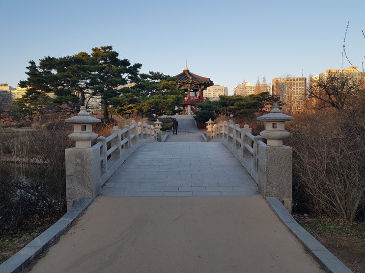  가볍게 둘레길 따라 산책하는 일산 호수공원! 호수공원 이모저모~