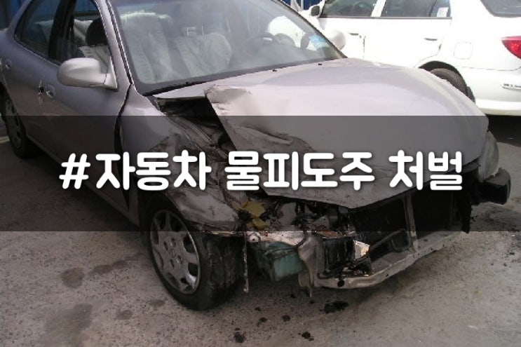  자동차 물피도주 처벌 정보
