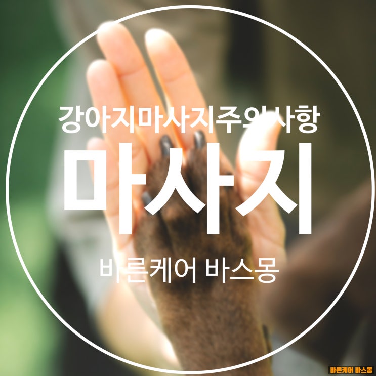  강아지와 교감하기 펫 마사지 주의사항