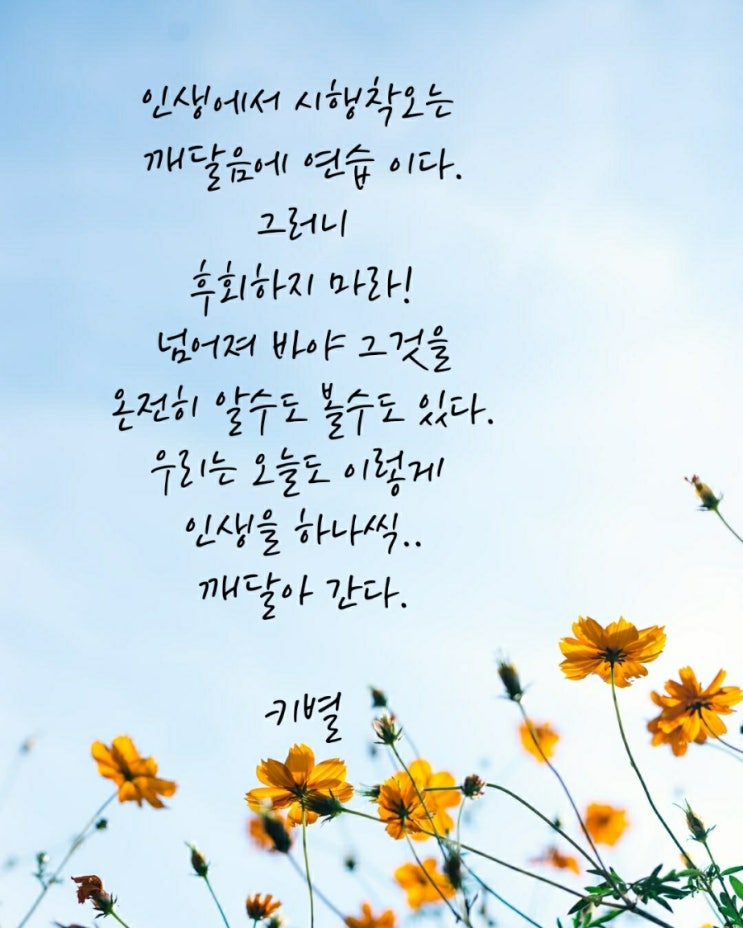  인생(감성)(삶)(시행착오)(연습)(행복)(글귀)(키별)