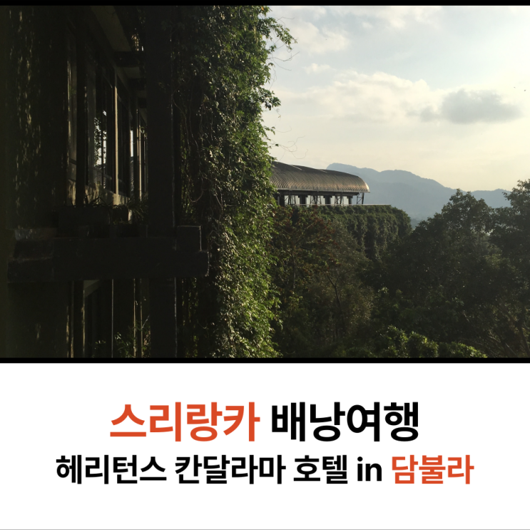  여자 배낭 여행 스리랑카 담불라 즐기기
