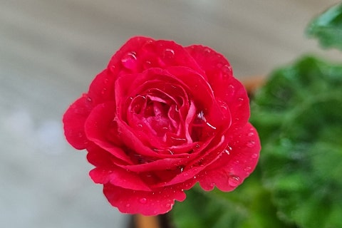 오늘참예쁘다(2) 이미지