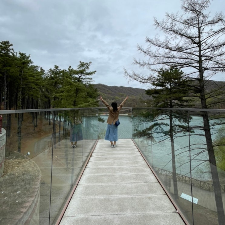  마장호수 출렁다리 평일 풍경 주차 카페 팁까지