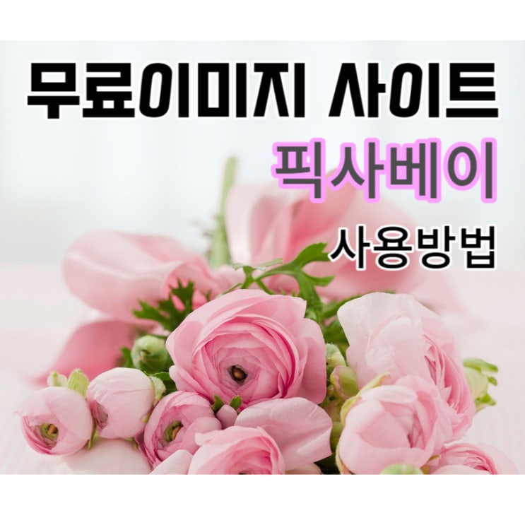  무료이미지 사이트 픽사베이 / 블로그 유튜브 다채롭게 꾸미기