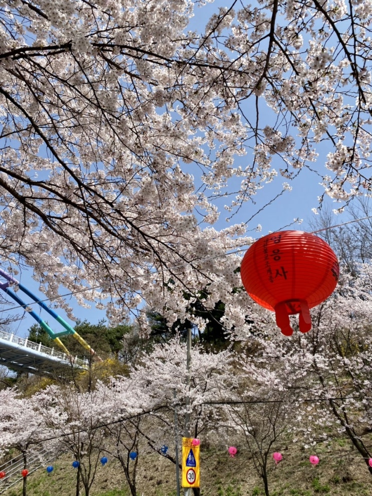  서곶 근린공원(장미공원) 산책 코스!