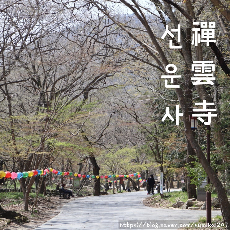 고창 가볼만한곳, 선운사 자연이 살아 숨 쉬는 고찰