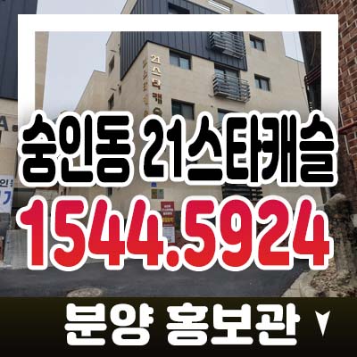 종로 숭인동 21스타캐슬 2룸,3룸 신축빌라 갭투자,분양/매매 준공된 신축 재개발 수혜지역 분양홍보관 종로 숭인동 21스타캐슬 2룸,3룸 신축빌라 갭투자,분양/매매 준공된 신축 재개발 수혜지역 분양홍보관