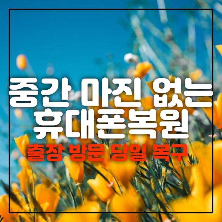  안동,상주,문경,의성,영양휴대폰복구 문자 카톡 사진 통화기록 연락처 영구삭제 파손 고장 스마트폰출장복원