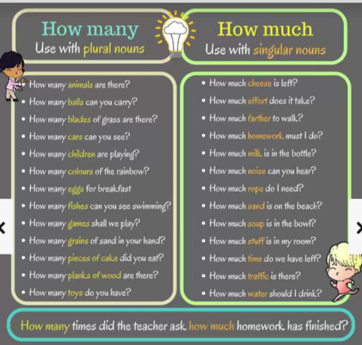  [영어] How much Vs How many