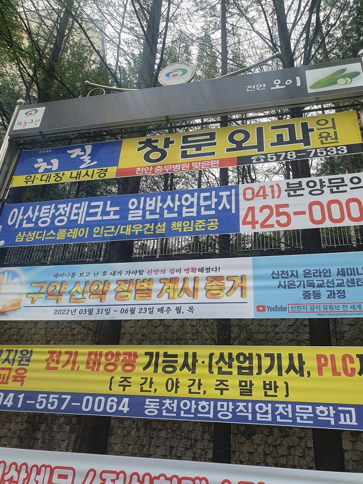 신천지가 또 슬슬기어나오네요