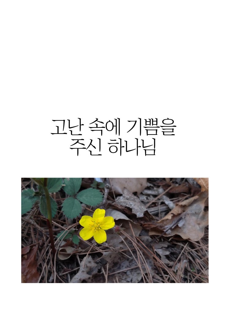  고난 속에 기쁨을 주신 하나님