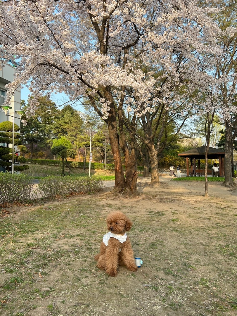 사진 4