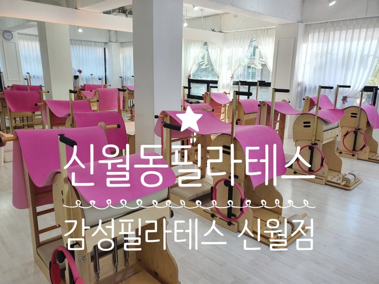 신월동필라테스 감성필라테스 신월점 기구필라테스 그룹수업 후기