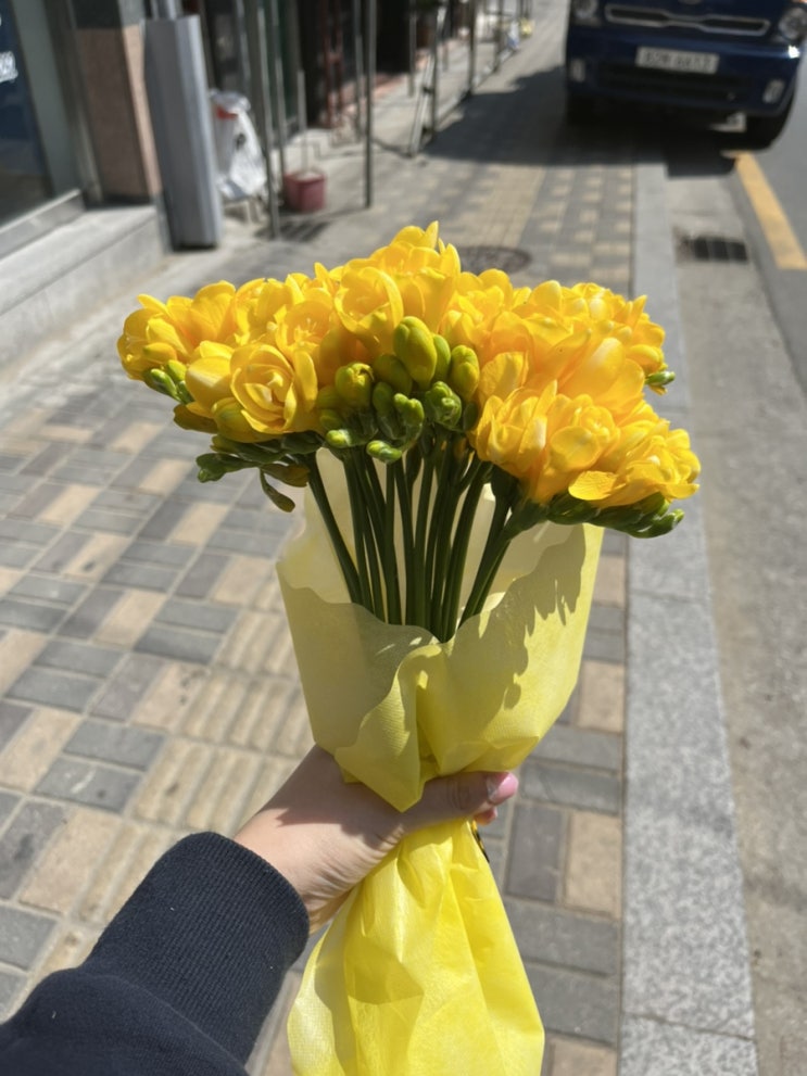  이주의 꽃