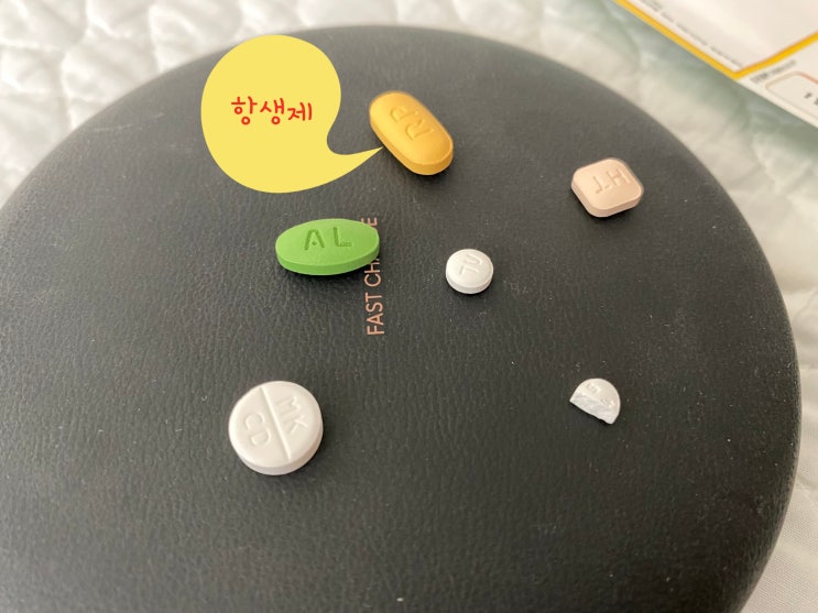 코로나 말고 알레르기 비염 때문에 항생제 약 처방 치료 후기 코로나 말고 알레르기 비염 때문에 항생제 약 처방 치료 후기