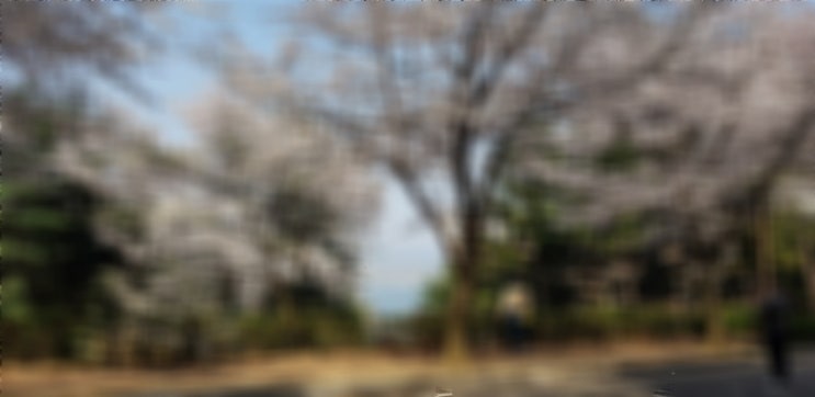 금융문맹의 경제용어 공부를 시작하면서.