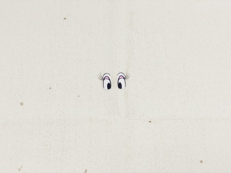  다묘가정 가르르 고양이 스크래쳐 사용기