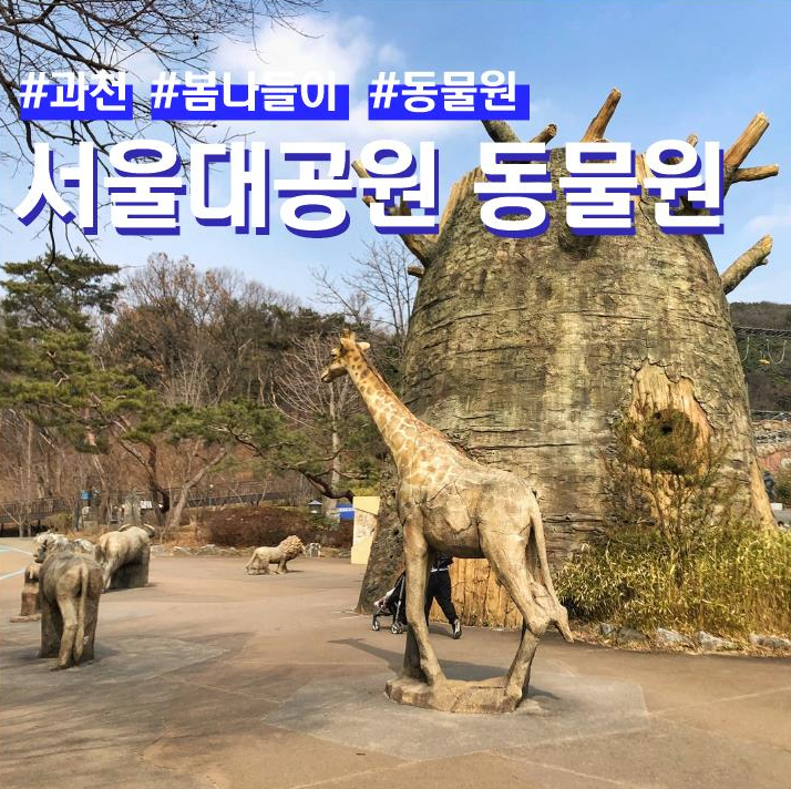 경기 과천 봄나들이 서울대공원 동물원 (ft. 코끼리열차 / 리프트)