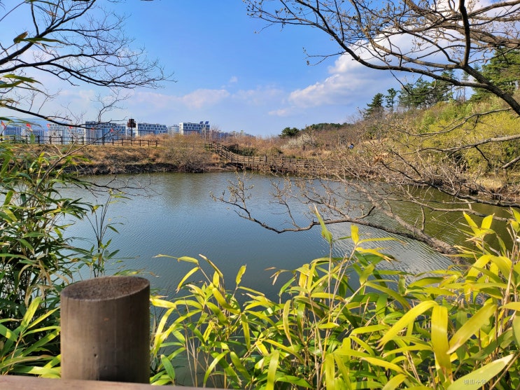  울산 북구 화동못 수변공원 가볍게 산책하기 좋은 곳