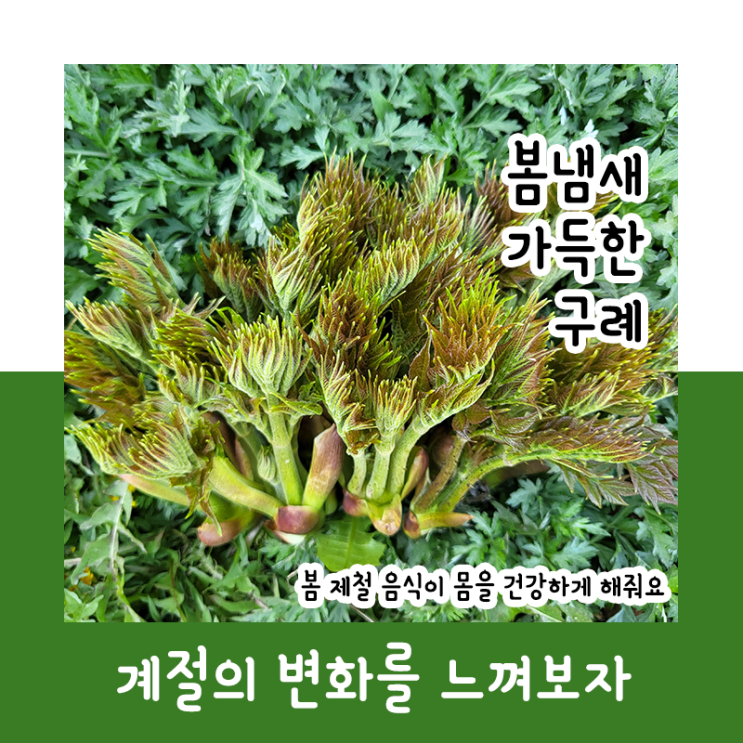  봄 냄새 가득한 구례_계절의 변화 느끼기