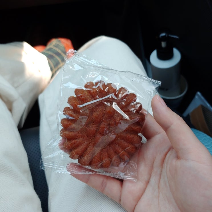  요즘 먹고있는 약과