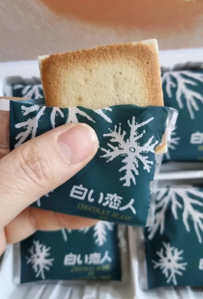 한국의 쿠크다스 맛 시로이코이비토 샌드쿠키 오늘 맛있게 잘 먹었어요