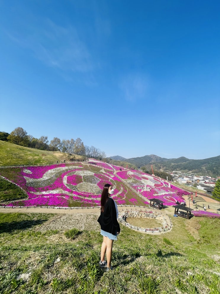  경남 산청 생초조각공원 : 생초꽃잔디 경호강변오토캠핑장 옆 갈볼만한 곳 봄꽃축제 나들이