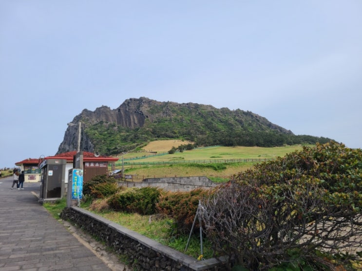  [제주 서귀포시] 성산일출봉