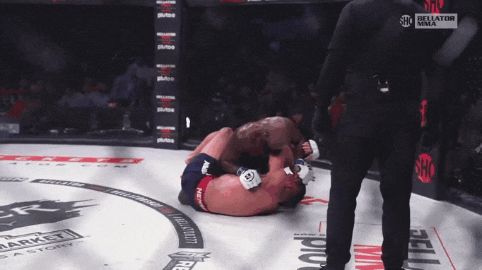 벨라토르 277: 파트리시우 핏불 vs A.J. 맥키 2/바딤 넴코프 vs 코리 앤더슨 결과(GIF) 벨라토르 277: 파트리시우 핏불 vs A.J. 맥키 2/바딤 넴코프 vs 코리 앤더슨 결과(GIF)