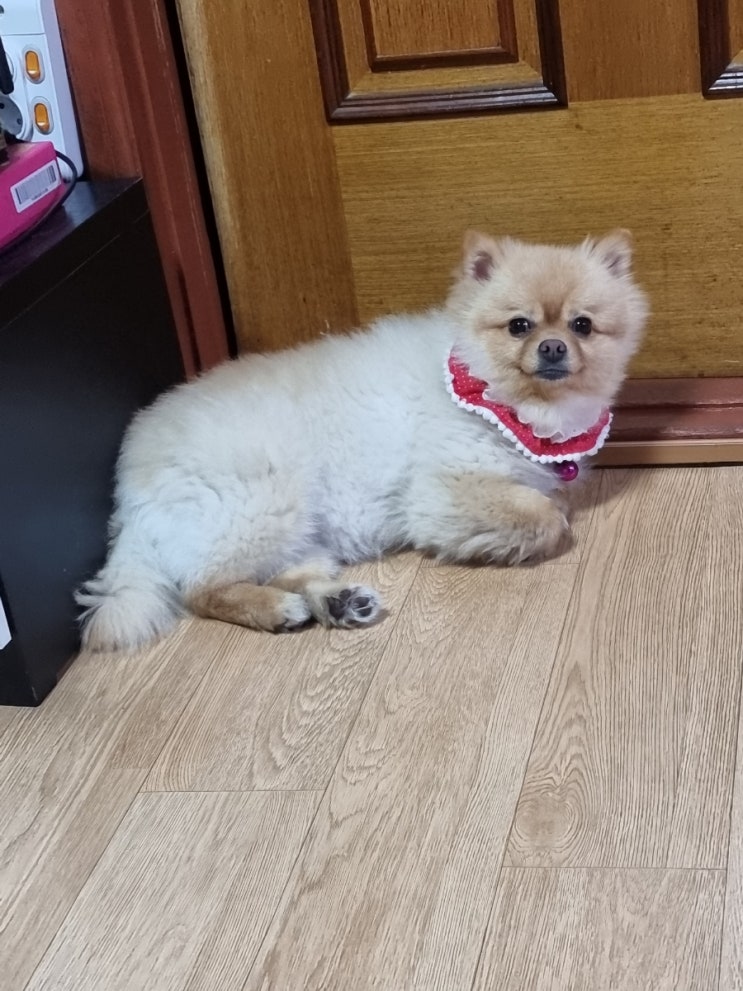  사랑쓰~어딜 그렇게 빤히 쳐다 보는거지?