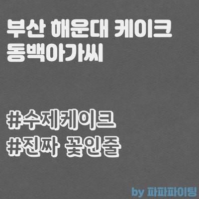  부산 해운대케이크 동백아가씨 해리단길 수제케이크 후기