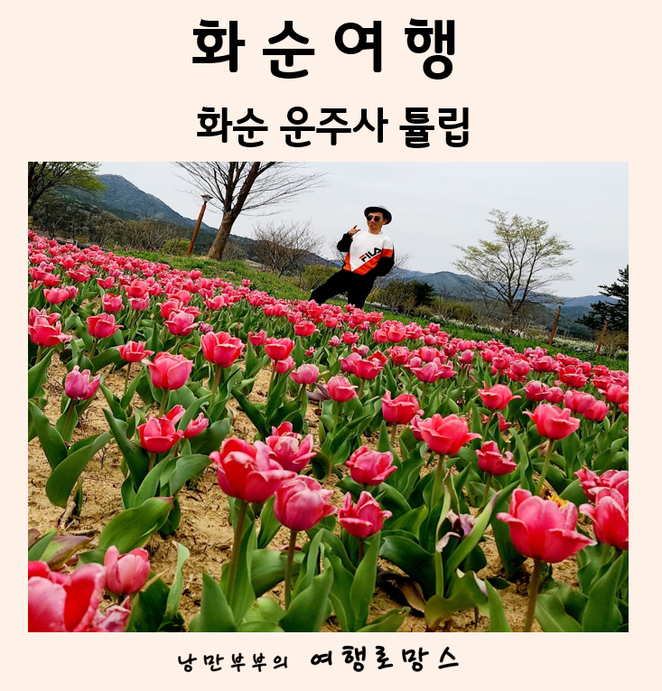  화순 4월 여행지::화순 8경 중 하나인 운주사 튤립 개화시기