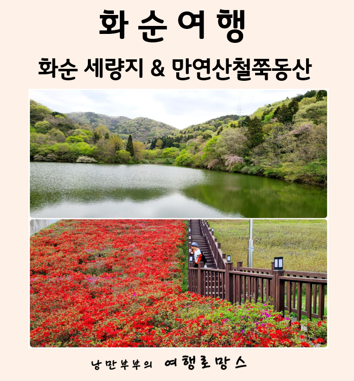  화순철쭉명소는 어디? 화순 만연산 철쭉동산, 만연 저수지 동구리 호수 공원 철쭉 개화시기..화순세량제에서 힐링하기