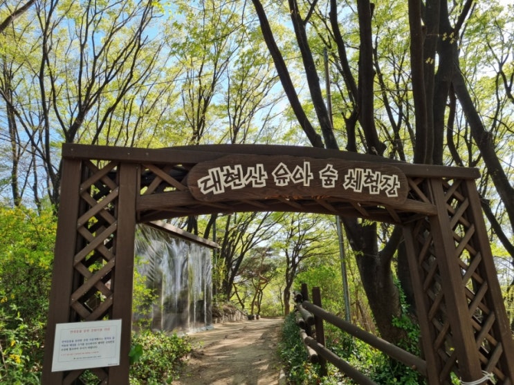  자연에서 아이들과 놀기 좋은 곳! '대현산 유아 숲 체험장'(성동구 - 행당, 금호)