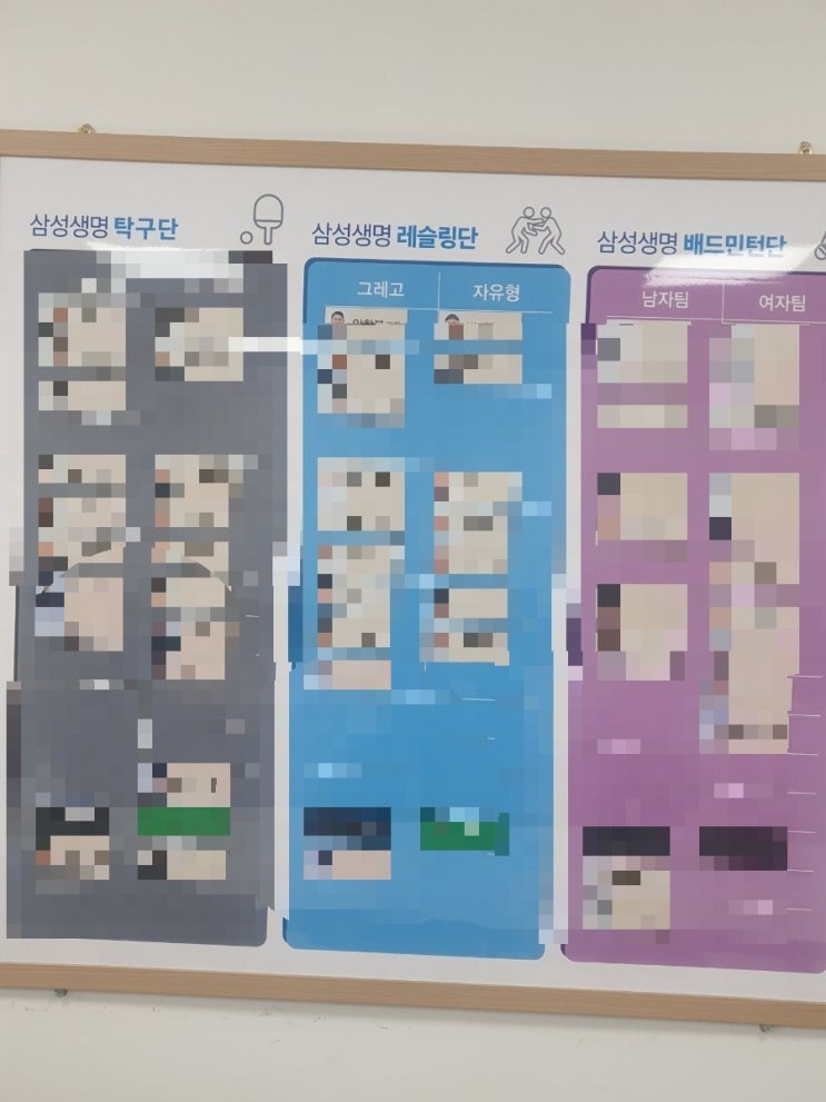  삼성생명 스포츠단 주인공들 3개구단 화이팅