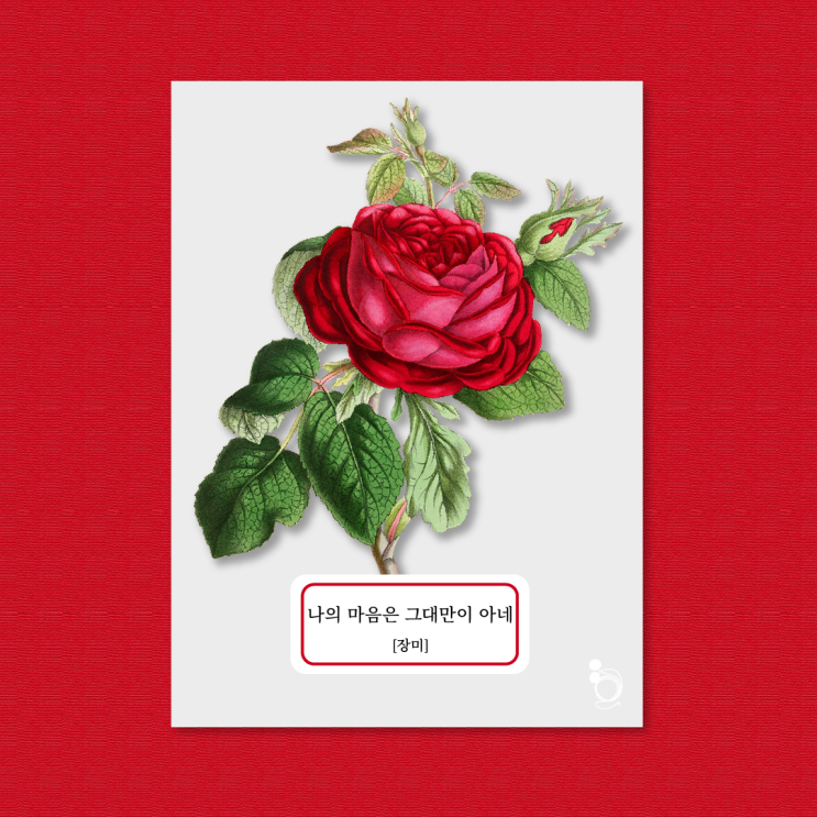  1. 나의 마음은 그대만이 아네 [장미] - 가득 폈지 / 장미 꽃말 / 네이버 오디오클립 / 꽃 한 편[꽃:단편] / 폴러리 / 네이버 오디오북 / 꽃말 / 꽃말 모음
