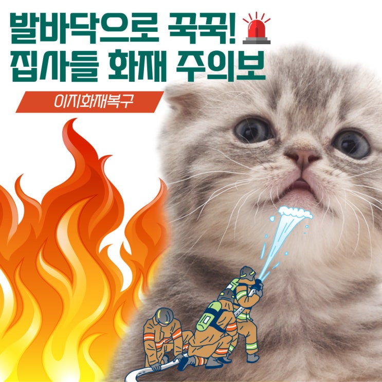  반려묘로 인한 인덕션 화재 정보