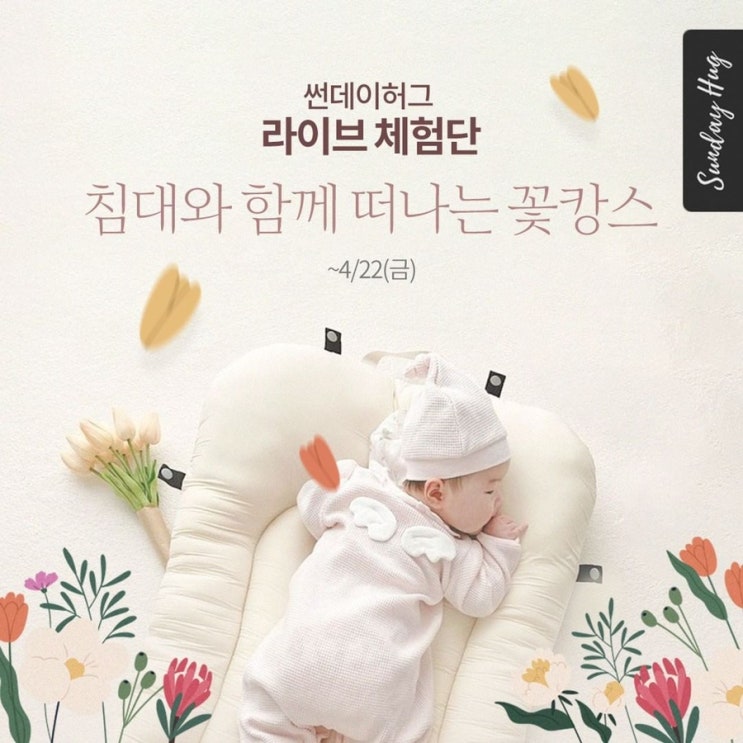  썬데이허그 휴대용 아기침대 라이브 체험단 '침대와 함께 떠나는 꽃캉스' 모집중!