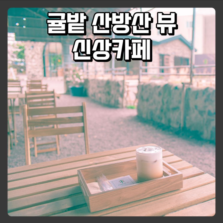  산방산 근처 신상카페 - 포레스트제이 카우셰드