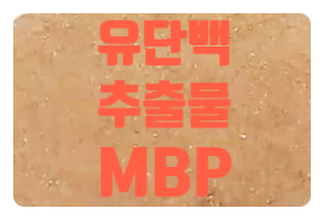  MBP 엠비피 유단백추출물 분말 효능 부작용 먹는방법