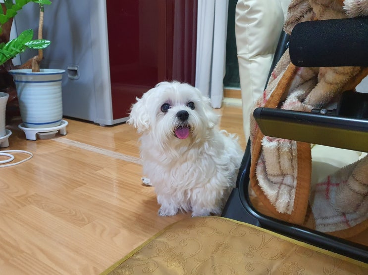  주말엔 게을러지고 싶다