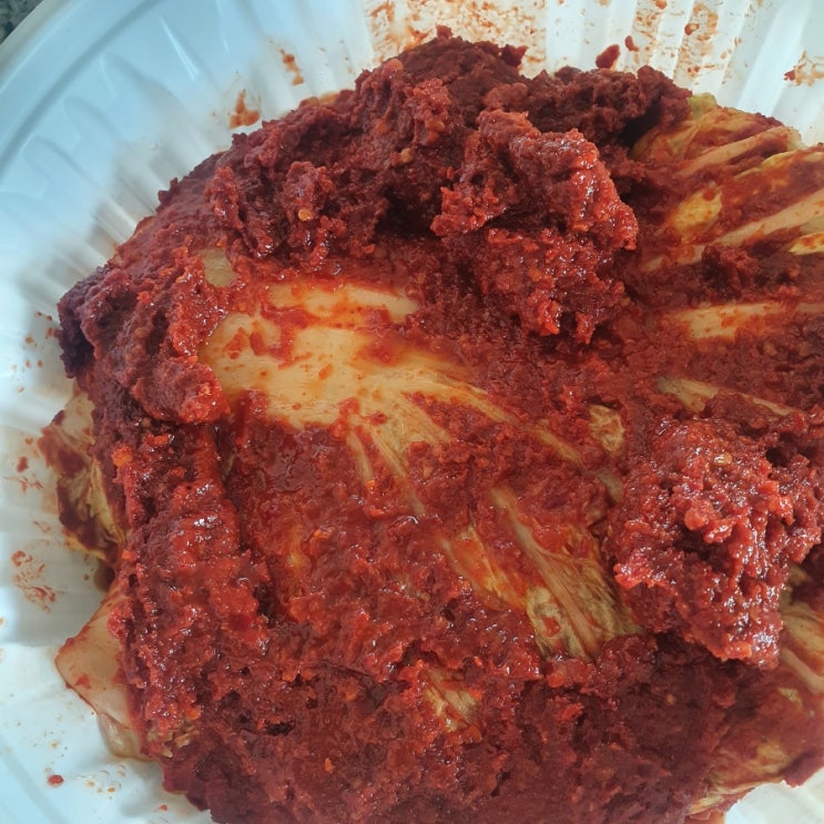  대전 선화동 매운 실비김치 매운데 자꾸 생각나는 맛