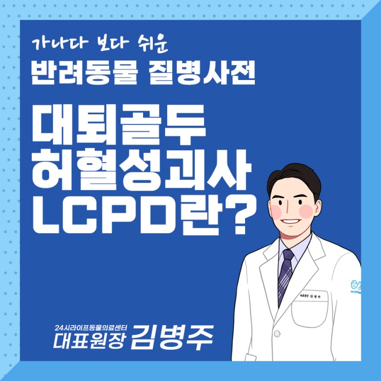 대구강아지수술전문동물병원 : 강아지 대퇴골두 허혈성 괴사(LCPD), 강아지 대퇴골두 절단술, 강아지 THR 수술 알아보기