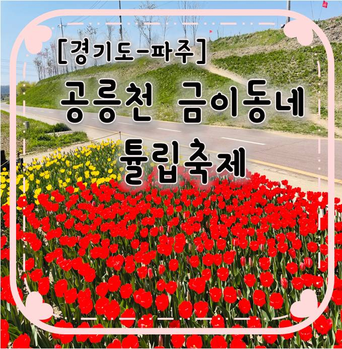 파주 공릉천 튤립축제- 금이동네 파주 공릉천 튤립축제- 금이동네