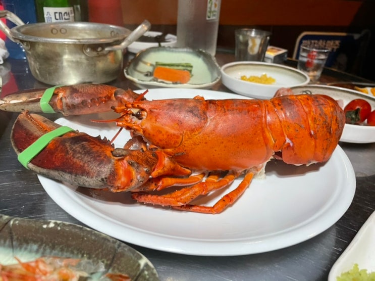  부산 해운대구 좌동ㅣ장산역ㅣ황금새우ㅣ닭새우 꽃새우 랍스타 맛집
