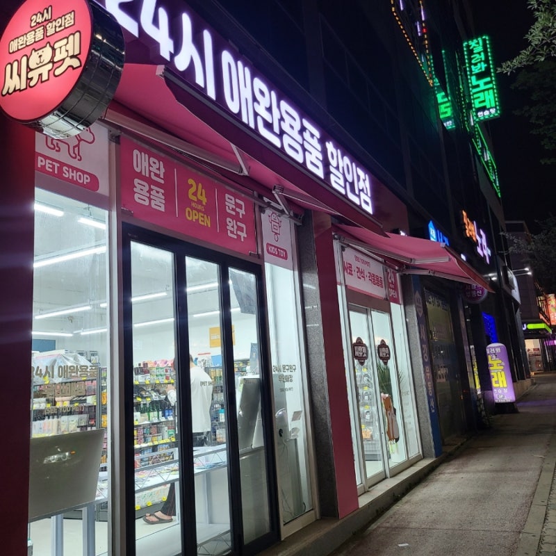 사진 5