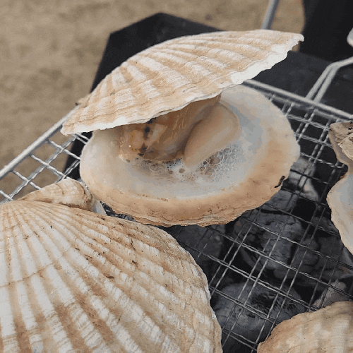  캠핑요리 추천(야채 김치전, 가리비구이, 숯불 닭발 구이)