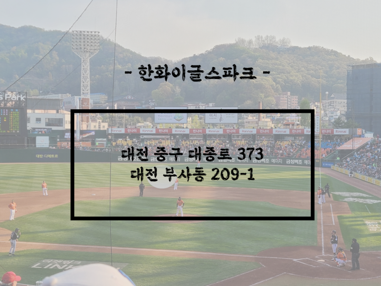  대전/부사동 가족과 함께 즐길 취미 추천, 연인과 함께 해볼 만한 데이트 추천, 야구 관람, LGvs한화 직관, 한화생명이글스파크