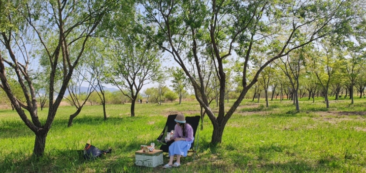  대저생태공원 피크닉, 봄에는 유채꽃