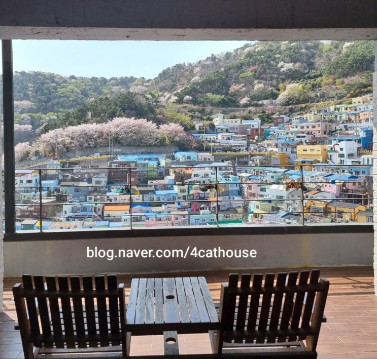 부산 "아방가르드 카페"후기(내돈내산)/부산여행,감천문화마을카페